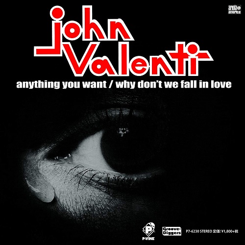 JOHN VALENTI / ジョン・ヴァレンティ / ANYTHING YOU WANT / WHY DON'T WE FALL IN LOVE / エニシング・ユー・ウォント / ホワイ・ドント・ウィ・フォール・イン・ラヴ (7")