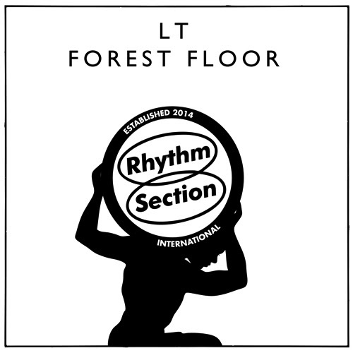 LT (LEWIS TAYLOR) / FOREST FLOOR