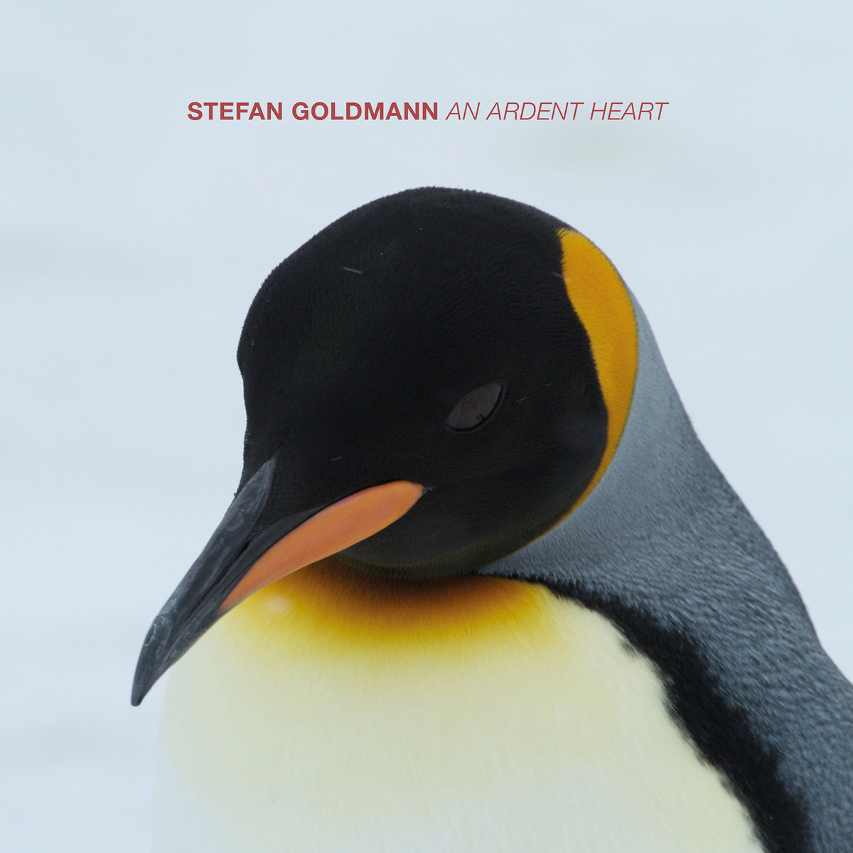 STEFAN GOLDMANN / ステファン・ゴールドマン / AN ARDENT HEART (12"+CD)