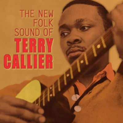 TERRY CALLIER / テリー・キャリアー / NEW FOLK SOUND OF (2LP)