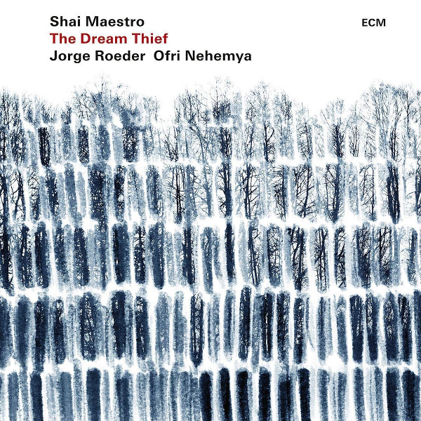 SHAI MAESTRO / シャイ・マエストロ / Dream Thief(LP/180g)