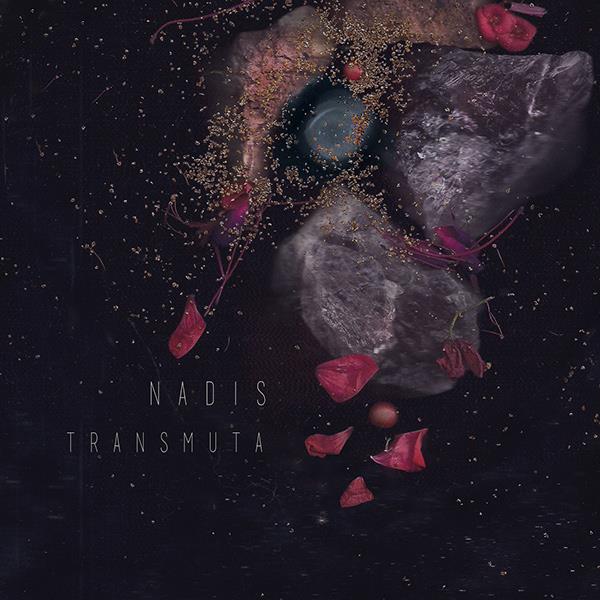 NADIS / ナディス / TRANSMUTA / トランスムータ
