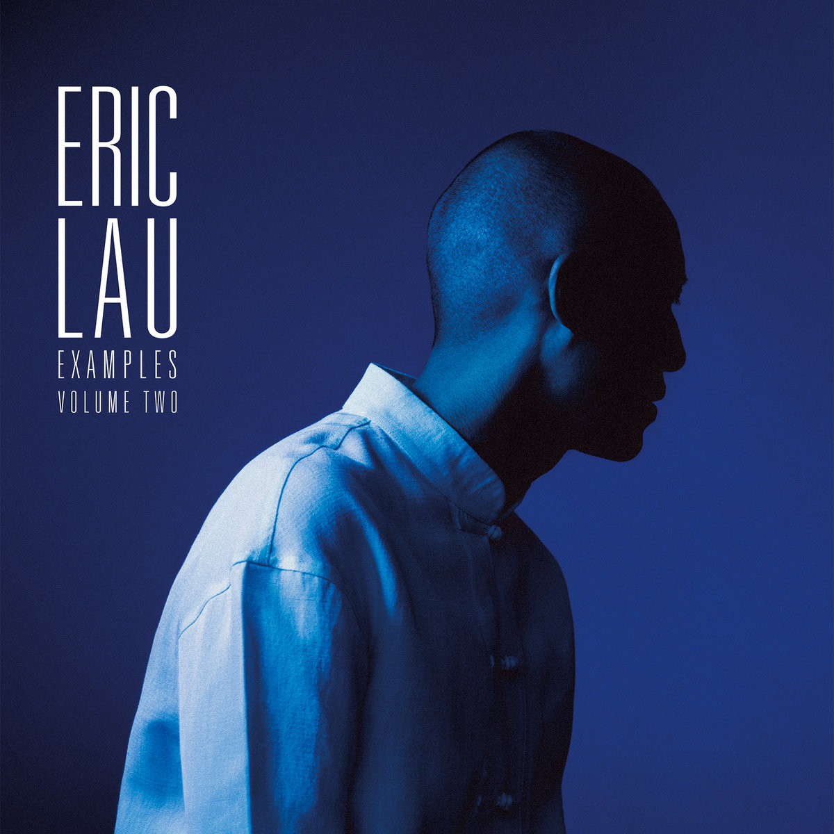 ERIC LAU / エリック・ロウ / EXAMPLES VOLUME TWO (BLUE VINYL) "LP"