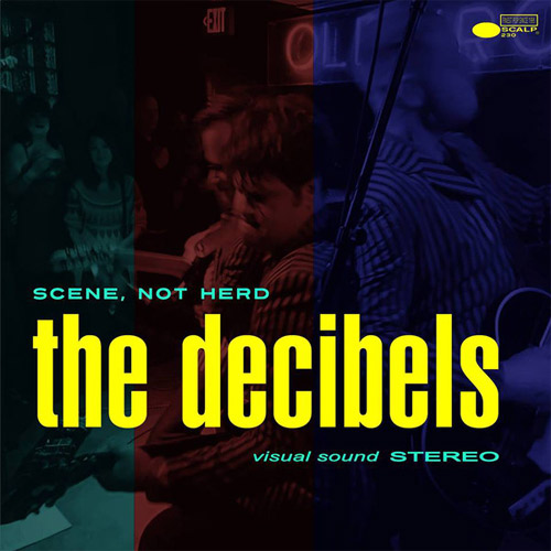 DECIBELS / デシベルズ / SCENE NOT HERD (LP)