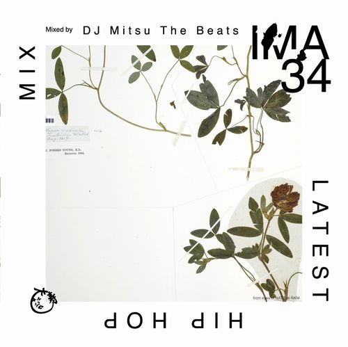 DJ MITSU THE BEATS (GAGLE) / IMA#34 
