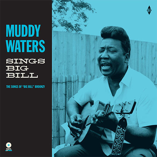 MUDDY WATERS / マディ・ウォーターズ / SINGS "BIG BILL" (+4 BONUS) (LP)