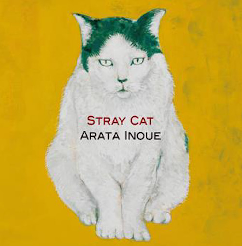 ARATA INOUE / 井上新 / Stray Cat