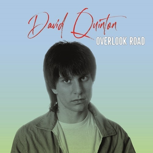 DAVID QUINTON / デイヴクイントン / OVERLOOK ROAD(LP盤) 