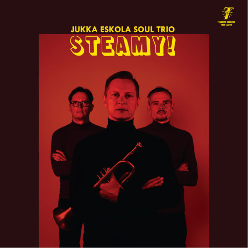 JUKKA ESKOLA / ユッカ・エスコラ / Steamy!(LP)