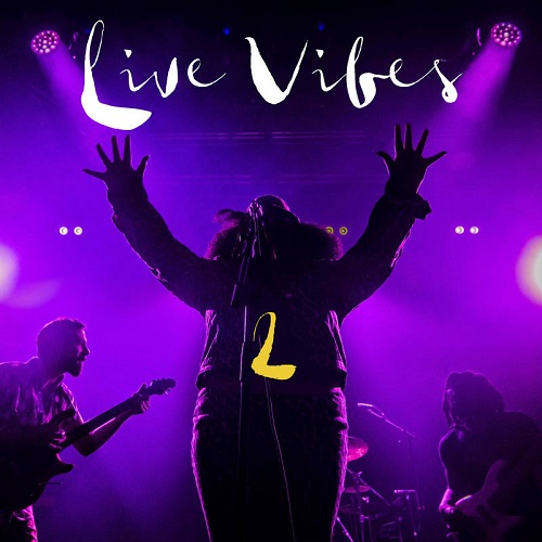 TANK & THE BANGAS / タンク・アンド・ザ・バンガーズ / LIVE VIBES 2(LP)