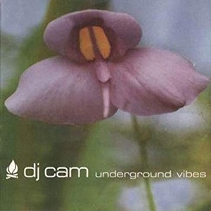 DJ CAM / DJカム / UNDERGROUND VIBES "LP" (復刻盤)