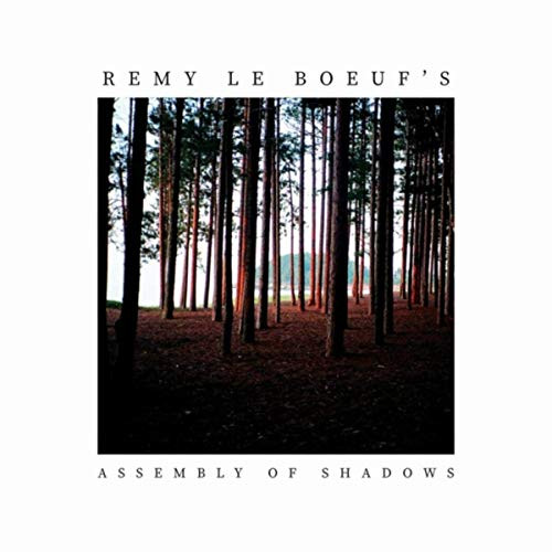 REMY LE BOEUF / レミー・ル・ブーフ / Assembly Of Shadows