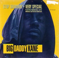 BIG DADDY KANE / ビッグ・ダディ・ケイン / STOP SHAMMIN' / VERY SPECIAL