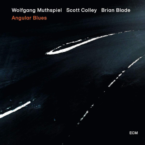 WOLFGANG MUTHSPIEL / ウォルフガング・ムースピール / Angular Blues(LP/180g)