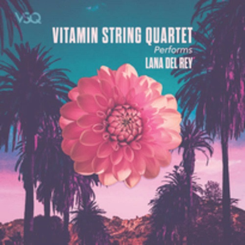 VITAMIN STRING QUARTET / ヴァイタミン・ストリング・カルテット / PERFORMS LANA DEL RAY