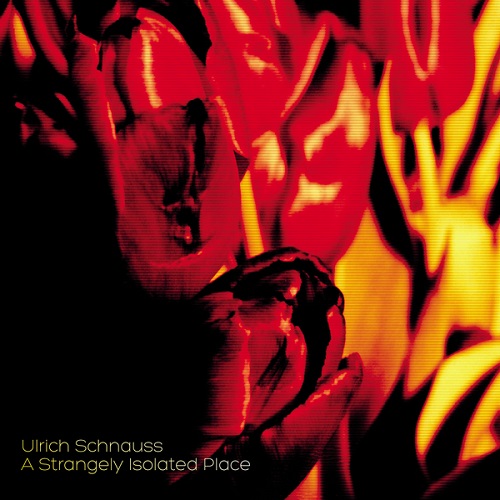 ULRICH SCHNAUSS / ウルリッヒ・シュナウス / STRANGELY ISOLATED PLACE (LP)