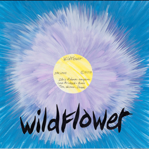 WILDFLOWER(UK JAZZ) / ワイルド・フラワー / Wildflower(LP)