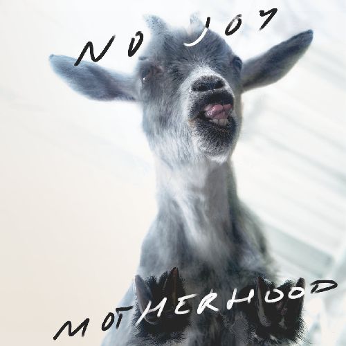 NO JOY / MOTHERHOOD (CD)