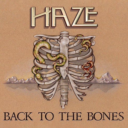 HAZE (UK) / BACK TO THE BONES