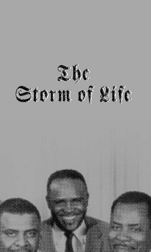 V.A.(STORM OF LIFE) / STORM OF LIFE(TAPE)