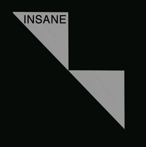 V.A. (NOISE / AVANT-GARDE) / INSANE 80S TRACKS FROM THE INSANE LABEL