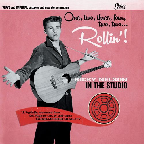 RICKY NELSON / リッキー・ネルソン / IN THE STUDIO (4CD)