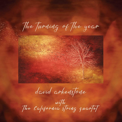 DAVID ARKENSTONE / デヴィッド・アーカンストーン / Turning Of The Year
