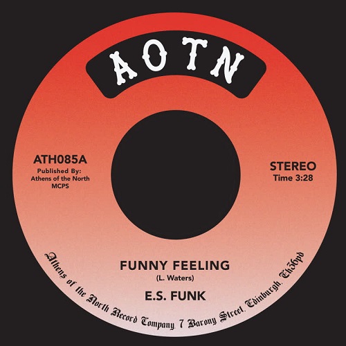 E.S.FUNK / FUNNY FEELING / SHAKE YOUR BODY (AT THE DISCO) (7")