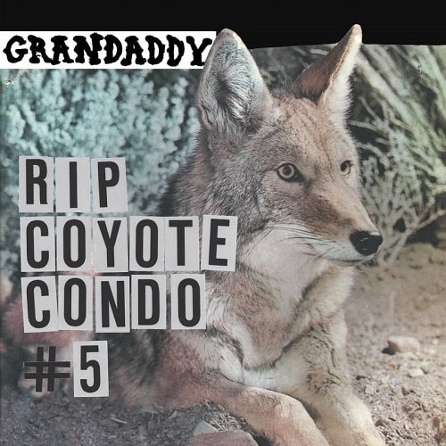 GRANDADDY / グランダディ / RIP COYOTE CONDO #5 B/W THE FOX IN THE SNOW & IN MY ROOM [12"] 