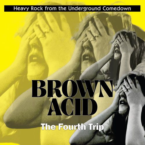 V.A. (BROWN ACID) / BROWN ACID: THE FOURTH TRIP (LP)