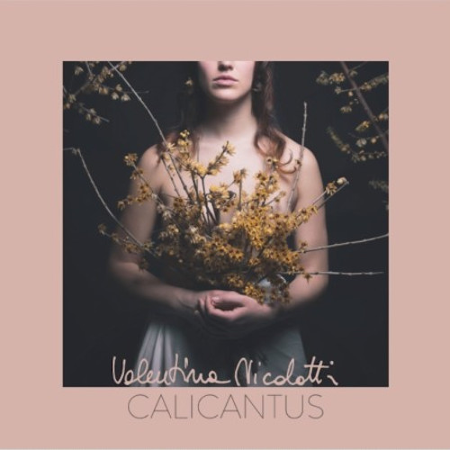 VALENTINA NICOLOTTI / Calicantus