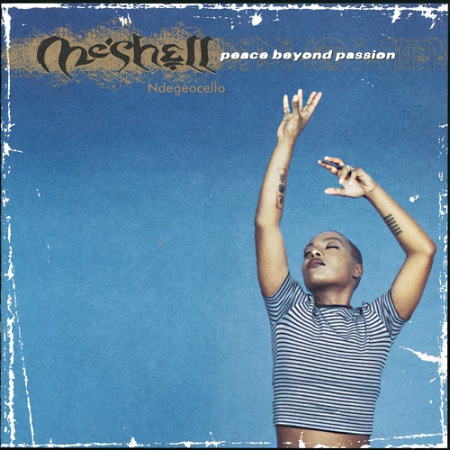 MESHELL NDEGEOCELLO / ミシェル・ンデゲオチェロ / PEACE BEYOND PASSION (2LP)