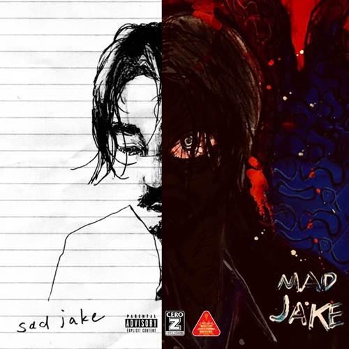 Jin Dogg / SADMAD JAKE "2CD"