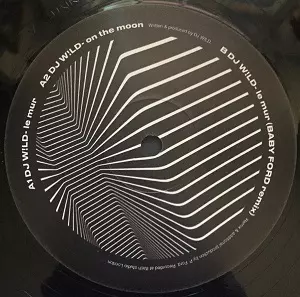 洋楽 Sean Tyas - Candida 12\" Limited Edition Sean Tyas - Candida 12 Limited Edition