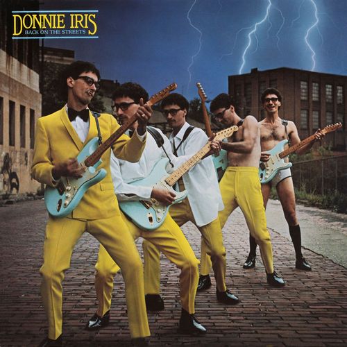 DONNIE IRIS / ドニー・アイリス / BACK ON THE STREETS (CD)