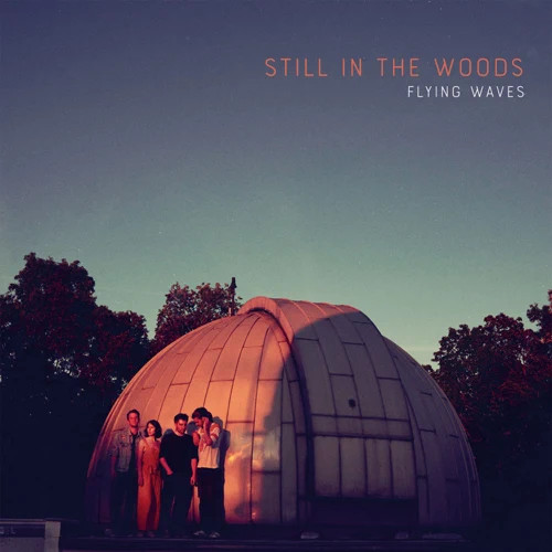 STILL IN THE WOODS / Flying Waves