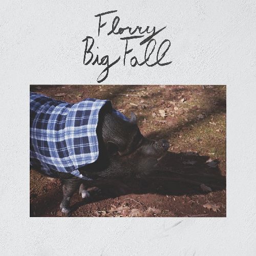 FLORRY / BIG FALL (LP)