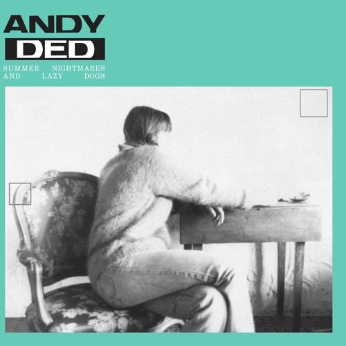 ANDY DED / SUMMER NIGHTMARES & LAZY DOGS