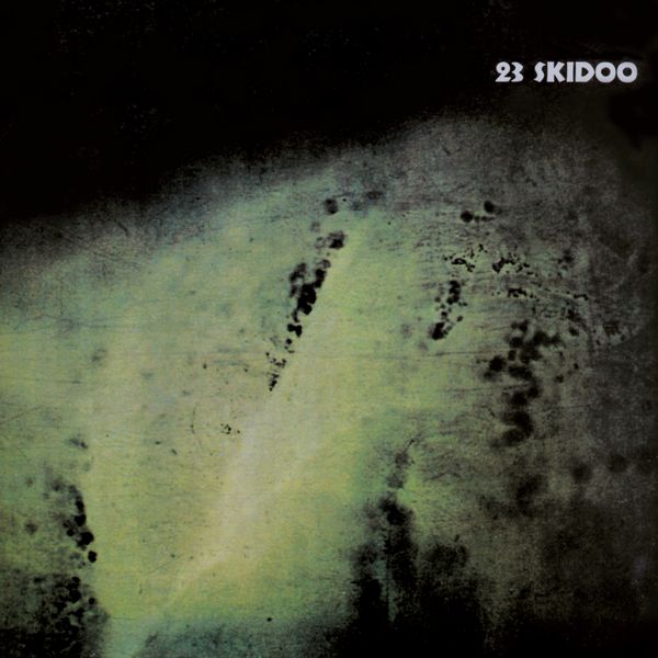23 SKIDOO / 23スキドゥー / THE CULLING IS COMING (CD)