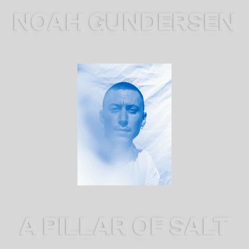 NOAH GUNDERSEN / ノア・ガンダーセン / PILLAR OF SALT(LP)