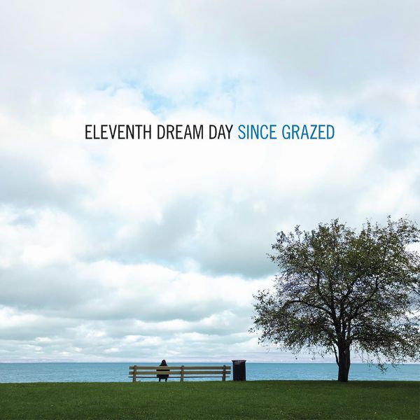 ELEVENTH DREAM DAY / イレヴンス・ドリーム・デイ / SINCE GRAZED (CD)