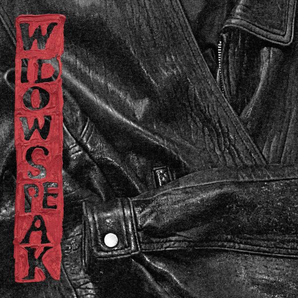 WIDOWSPEAK / ウィドウスピーク / THE JACKET (CD)