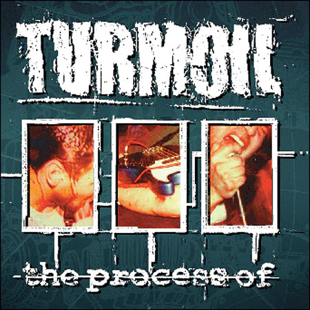 TURMOIL / ターモイル / THE PROCESS OF (LP)