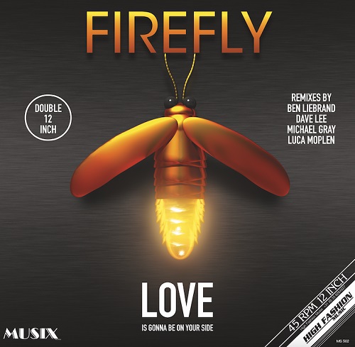 FIREFLY / ファイヤーフライ / LOVE IS IS GONNA BE ON YOUR SIDE (REMIXES)