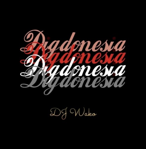 DJ WAKO a.k.a W-sider / Digdonesia