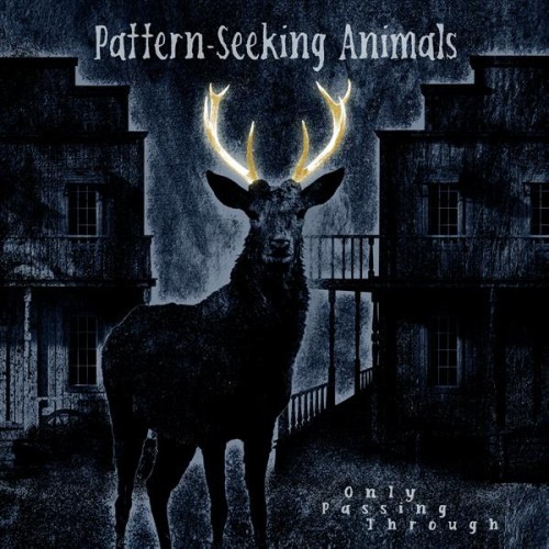 PATTERN-SEEKING ANIMALS / ONLY PASSING THROUGH: GATEFOLD BLACK 2LP+CD