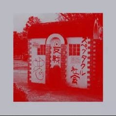 ECD / 失点 in the park "2LP"