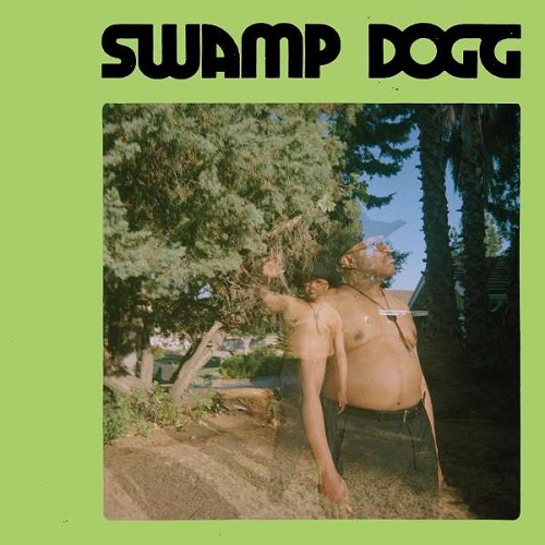 SWAMP DOGG / スワンプ・ドッグ / I NEED A JOB.. SO I CAN BUY MORE AUTO-TUNE (PINK VINYL)