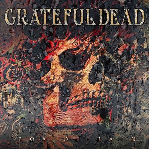 GRATEFUL DEAD / グレイトフル・デッド / BOX OF RAIN (10CD)