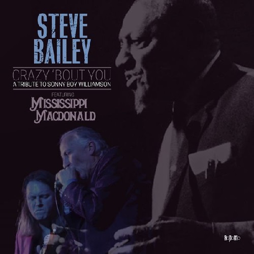 STEVE BAILEY / スティーブ・ベイリー / CRAZY 'BOUT YOU: A TRIBUTE TO SONNY BOY WILLIAMSON